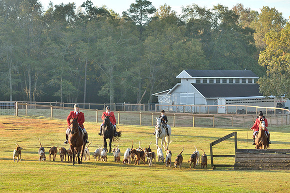 Shakerag opening Hunt 2015