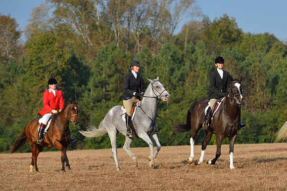 Shakerag opening Hunt 2015