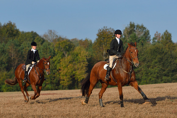 Shakerag opening Hunt 2015