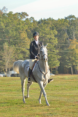 Shakerag opening Hunt 2015