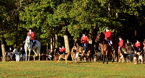 Shakerag Opening Hunt 2014