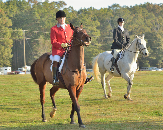 Shakerag opening Hunt 2015