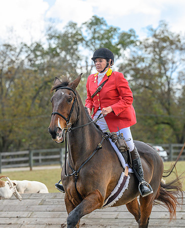 Belle Meade_20241102_420465