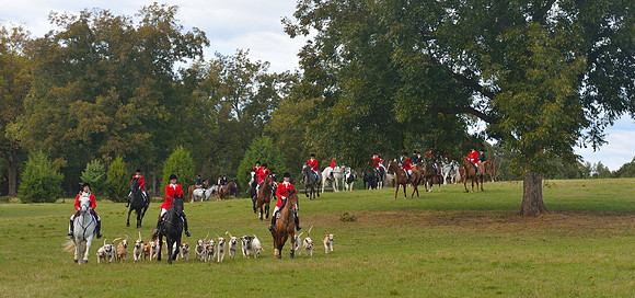 Belle Meade Opening Hunt 2014
