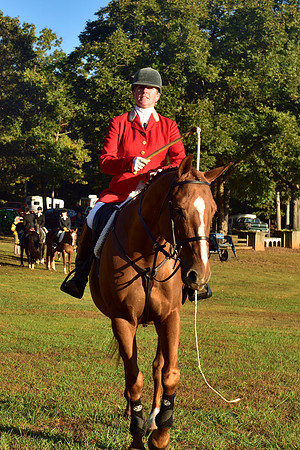 Shakerag Opening Hunt 2014