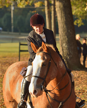 Shakerag opening Hunt 2015