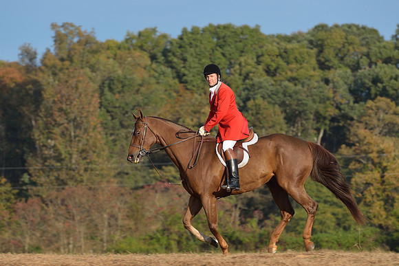 Shakerag opening Hunt 2015