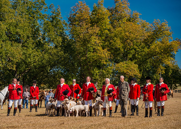 Belle Meade_228189_11-5-2016-2