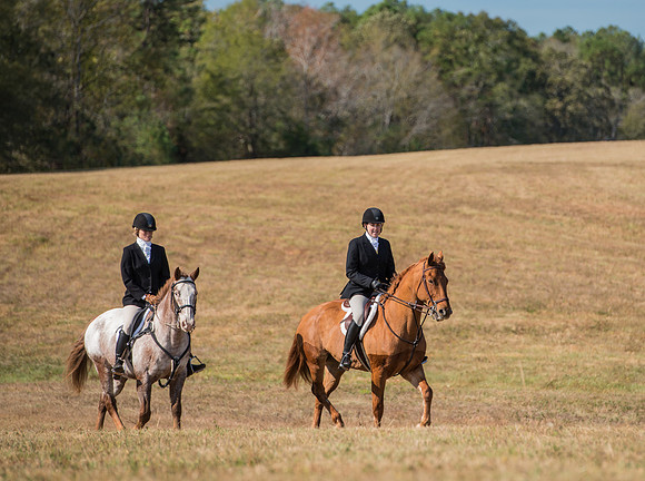 Belle Meade_227980_11-5-2016