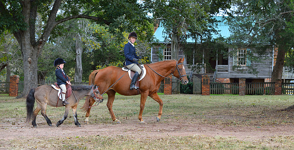 Belle Meade Opening Hunt 2014