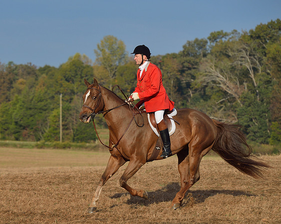 Shakerag opening Hunt 2015