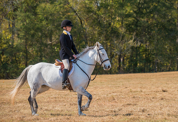 Belle Meade_228095_11-5-2016
