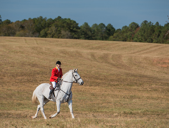 Belle Meade_227995_11-5-2016