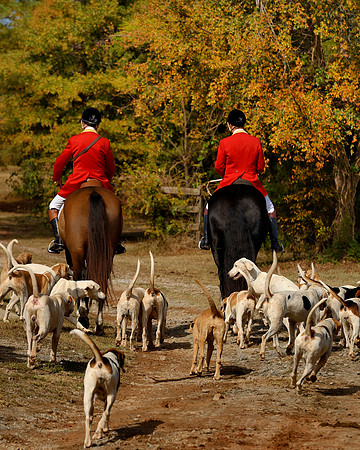 Belle Meade Fox Hunt - Opening Meet 2013
