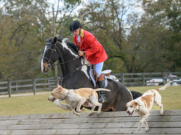 Belle Meade_20241102_420469