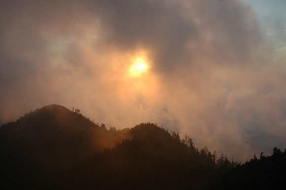 Sunset in the Fog - Mt. LeConte