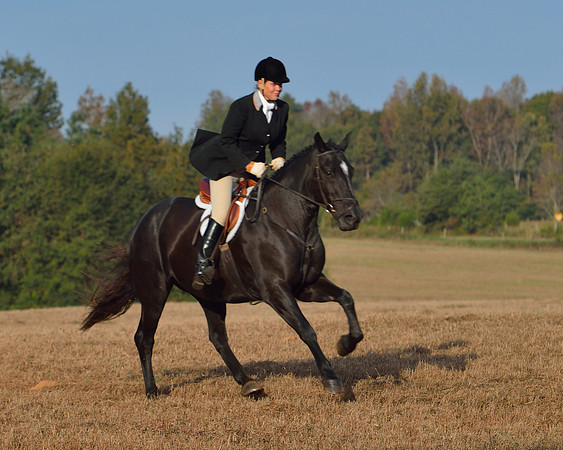 Shakerag opening Hunt 2015