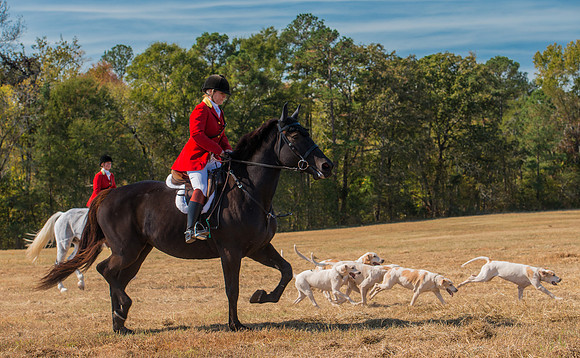 Belle Meade_228113_11-5-2016