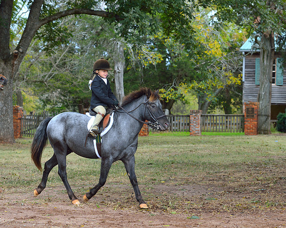 Belle Meade Opening Hunt 2014