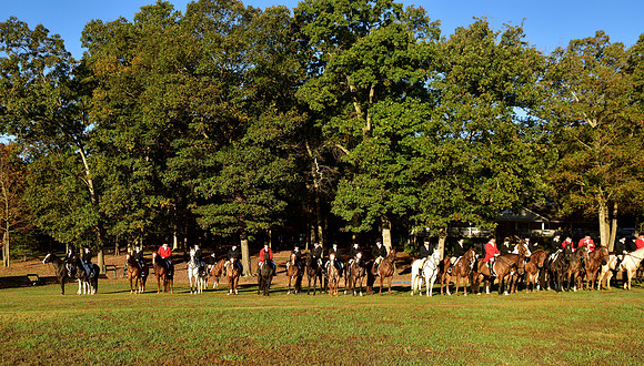 Shakerag Opening Hunt 2014