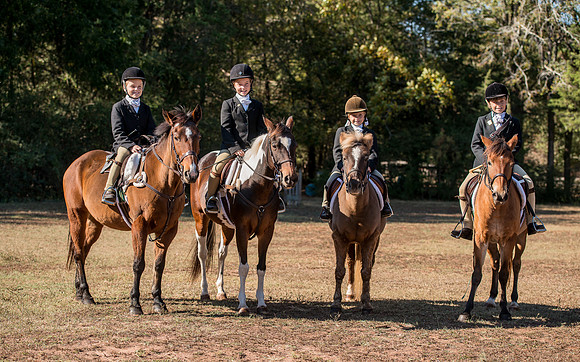 Belle Meade_227924_11-5-2016