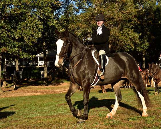 Shakerag Opening Hunt 2014