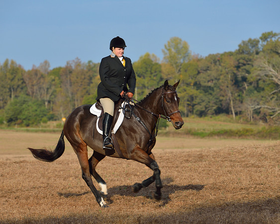 Shakerag opening Hunt 2015