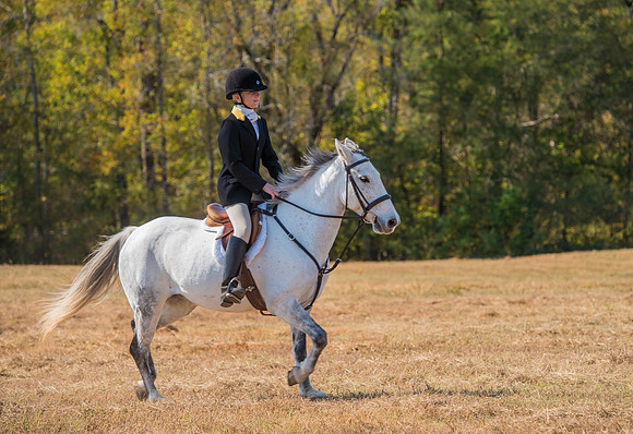 Belle Meade_228094_11-5-2016