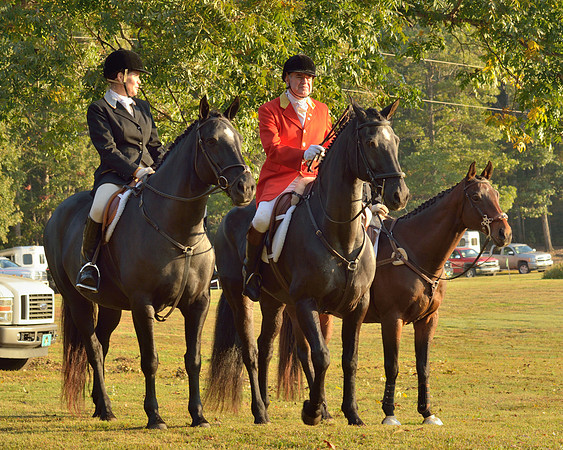 Shakerag opening Hunt 2015