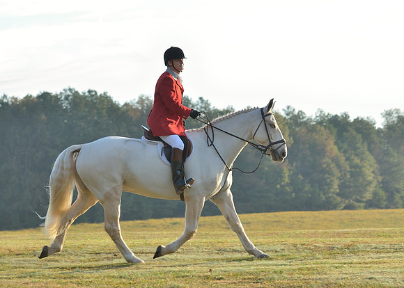Shakerag opening Hunt 2015