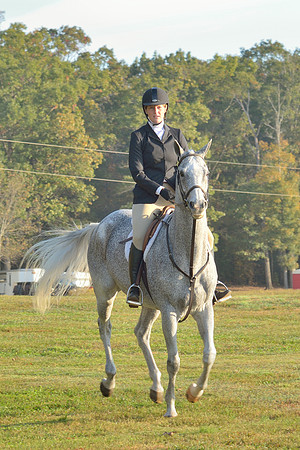 Shakerag opening Hunt 2015