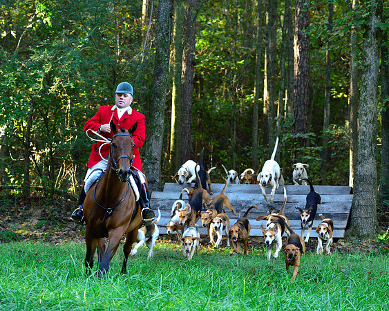 Shakerag Opening Hunt 2014