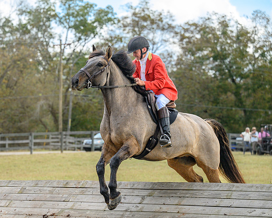 Belle Meade_20241102_421925