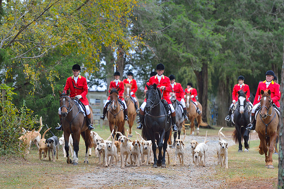 Belle Meade Opening Hunt 2014