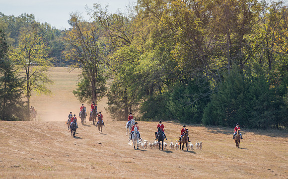 Belle Meade_228098_11-5-2016