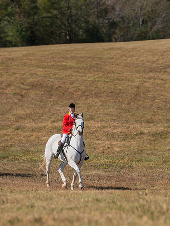 Belle Meade_227991_11-5-2016