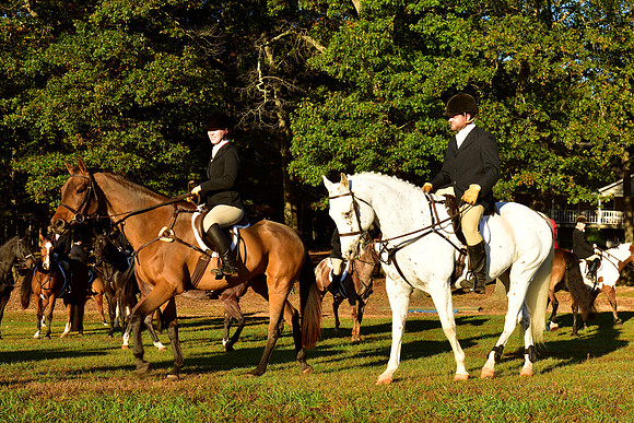 Shakerag Opening Hunt 2014