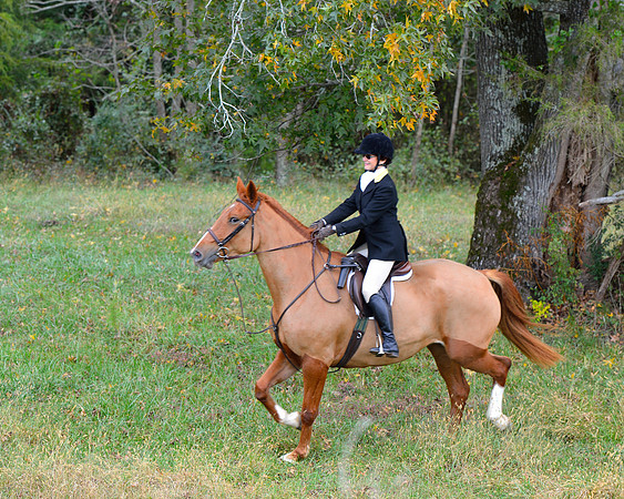 Belle Meade Opening Hunt 2014