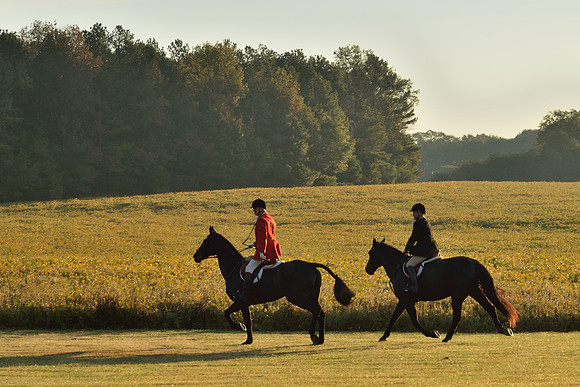 Shakerag opening Hunt 2015