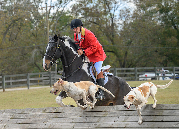 Belle Meade_20241102_420468