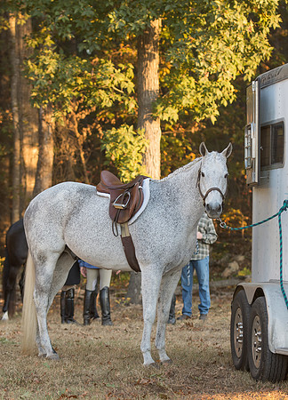 Shakerag_226976_10-29-2016