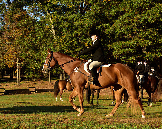 Shakerag Opening Hunt 2014