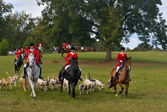 Belle Meade Opening Hunt 2014