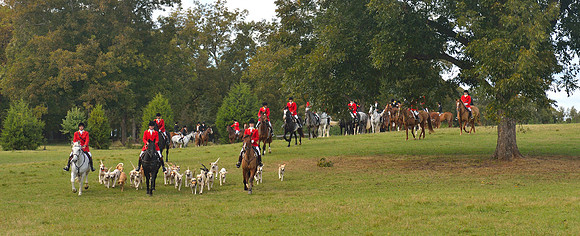 Belle Meade Opening Hunt 2014
