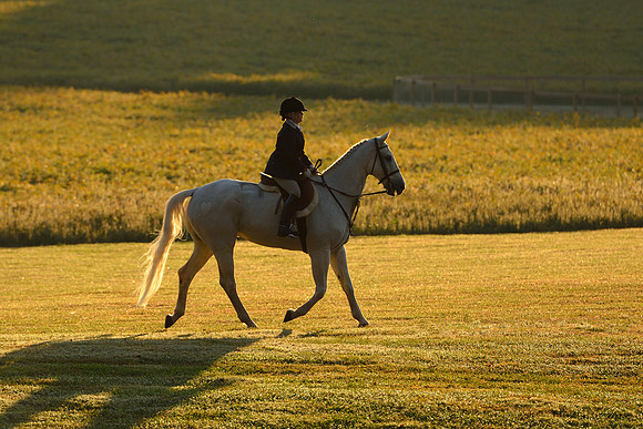 Shakerag opening Hunt 2015