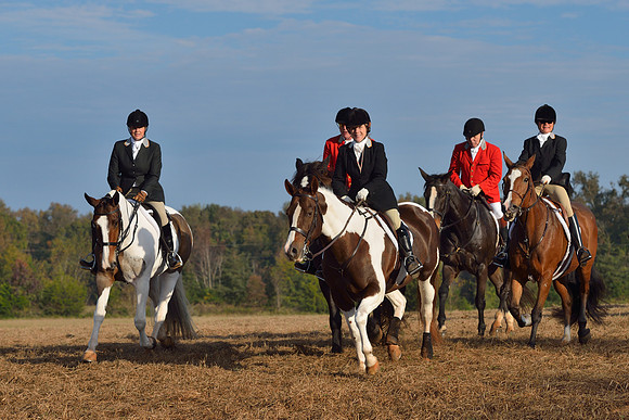 Shakerag opening Hunt 2015