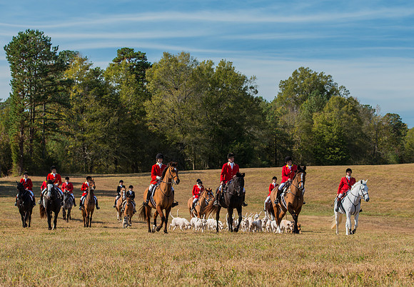 Belle Meade_228034_11-5-2016