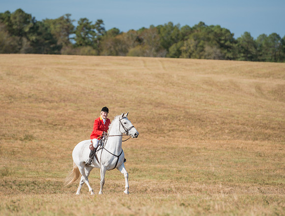 Belle Meade_227994_11-5-2016