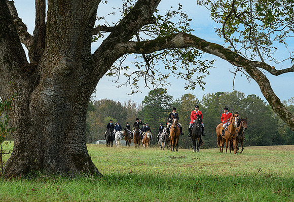 Belle Meade_20241102_420383
