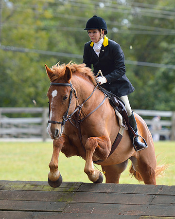 Belle Meade Opening Hunt 2014
